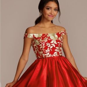 FIFTEEN ROSES Off-The-Shoulder Mini Patterned A-Line Color Red  Size 6   …